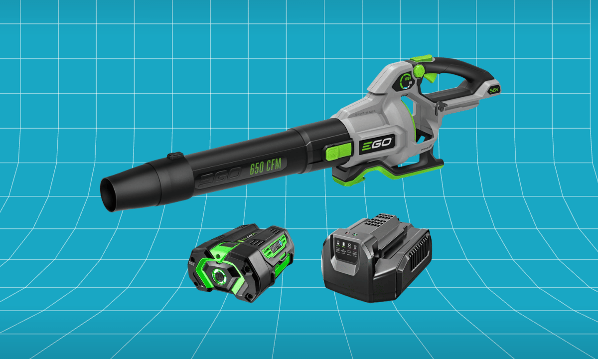EGO POWER+ 650 CFM Cordless Leaf Blower (LB6504)