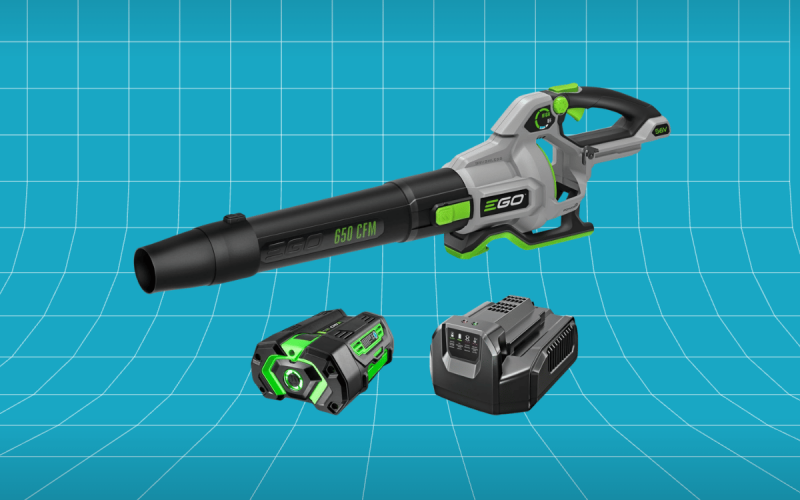 EGO POWER+ 650 CFM Cordless Leaf Blower (LB6504)
