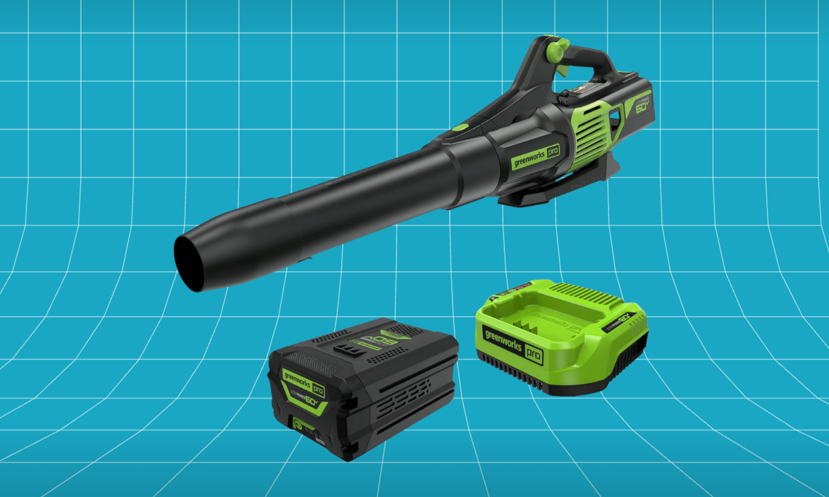 Greenworks 60V Cordless Leaf Blower