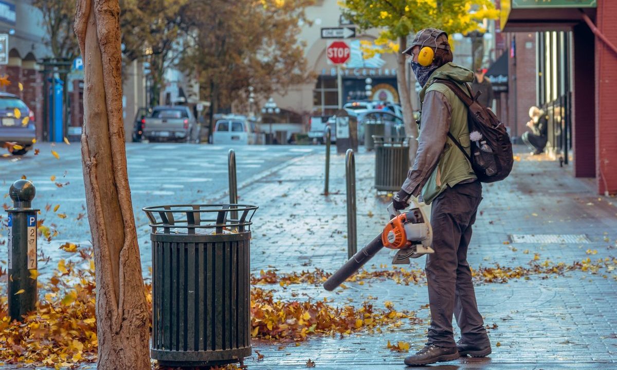 How to Choose a Leaf Blower (CFM vs. MPH Explained)