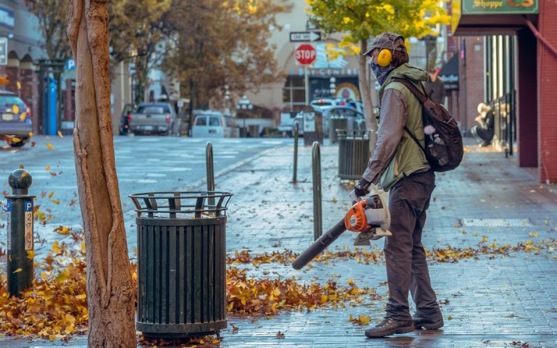 How to Choose a Leaf Blower (CFM vs. MPH Explained)