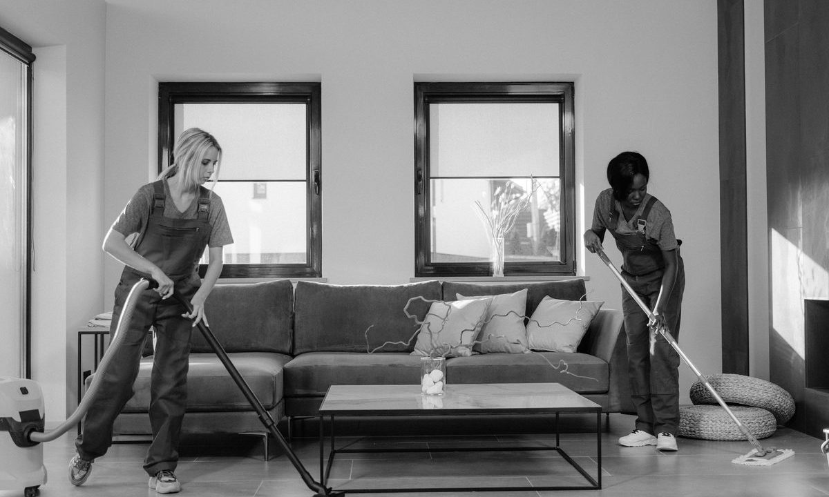 How to Choose Between a Cordless Stick and an Upright/Canister Vacuum