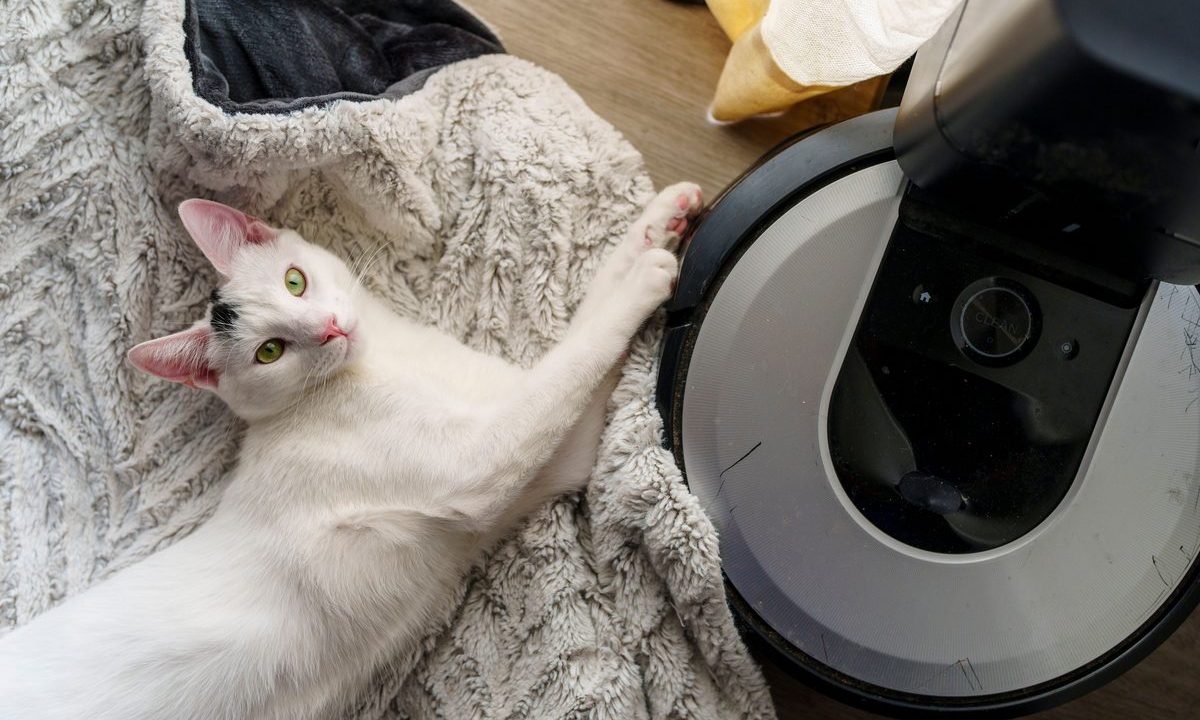How to Get a Vacuum to Actually Pick Up Pet Hair