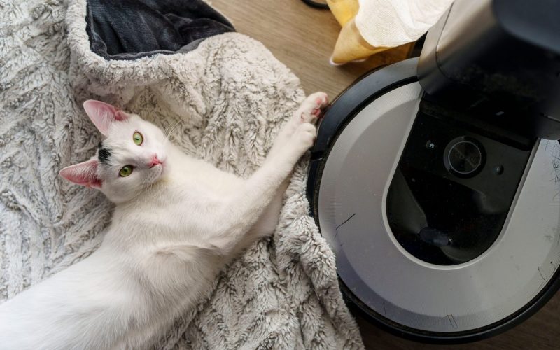 How to Get a Vacuum to Actually Pick Up Pet Hair