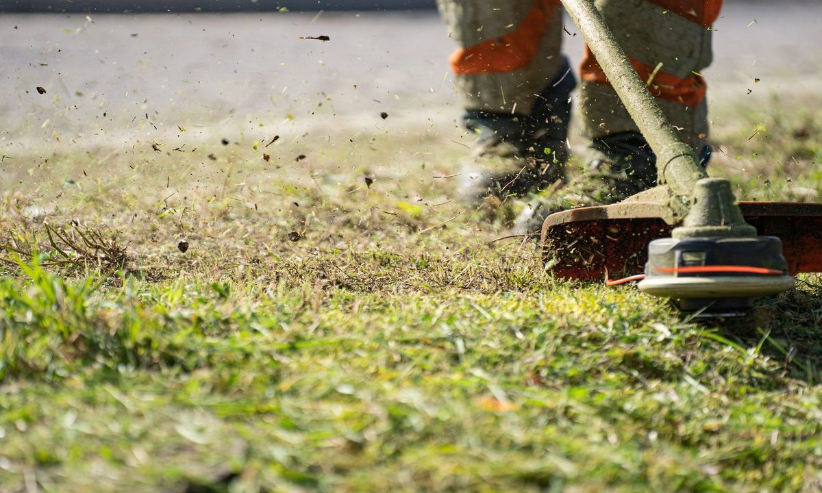 How to Use a String Trimmer to Edge and Trim Like a Pro
