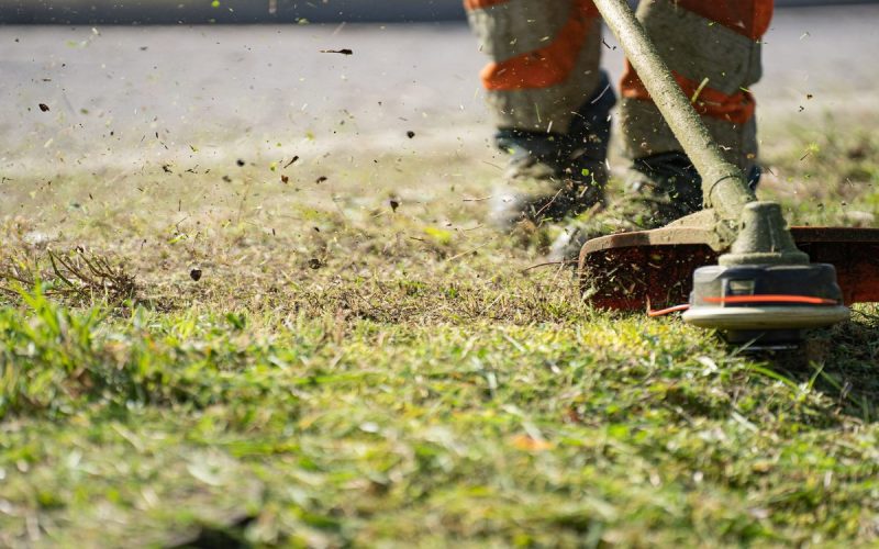 How to Use a String Trimmer to Edge and Trim Like a Pro